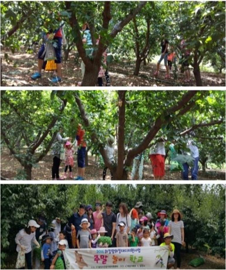 왕매실마을 사진3.JPG