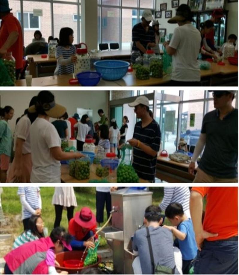 왕매실마을 사진4.JPG