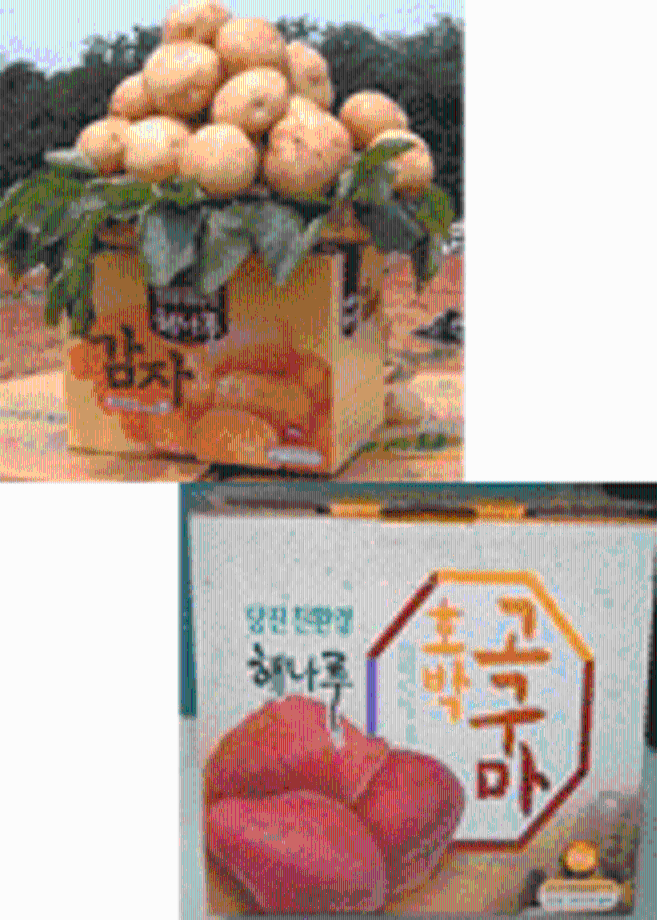 황토감자·고구마