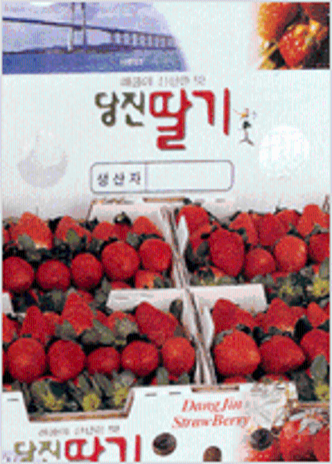 딸기