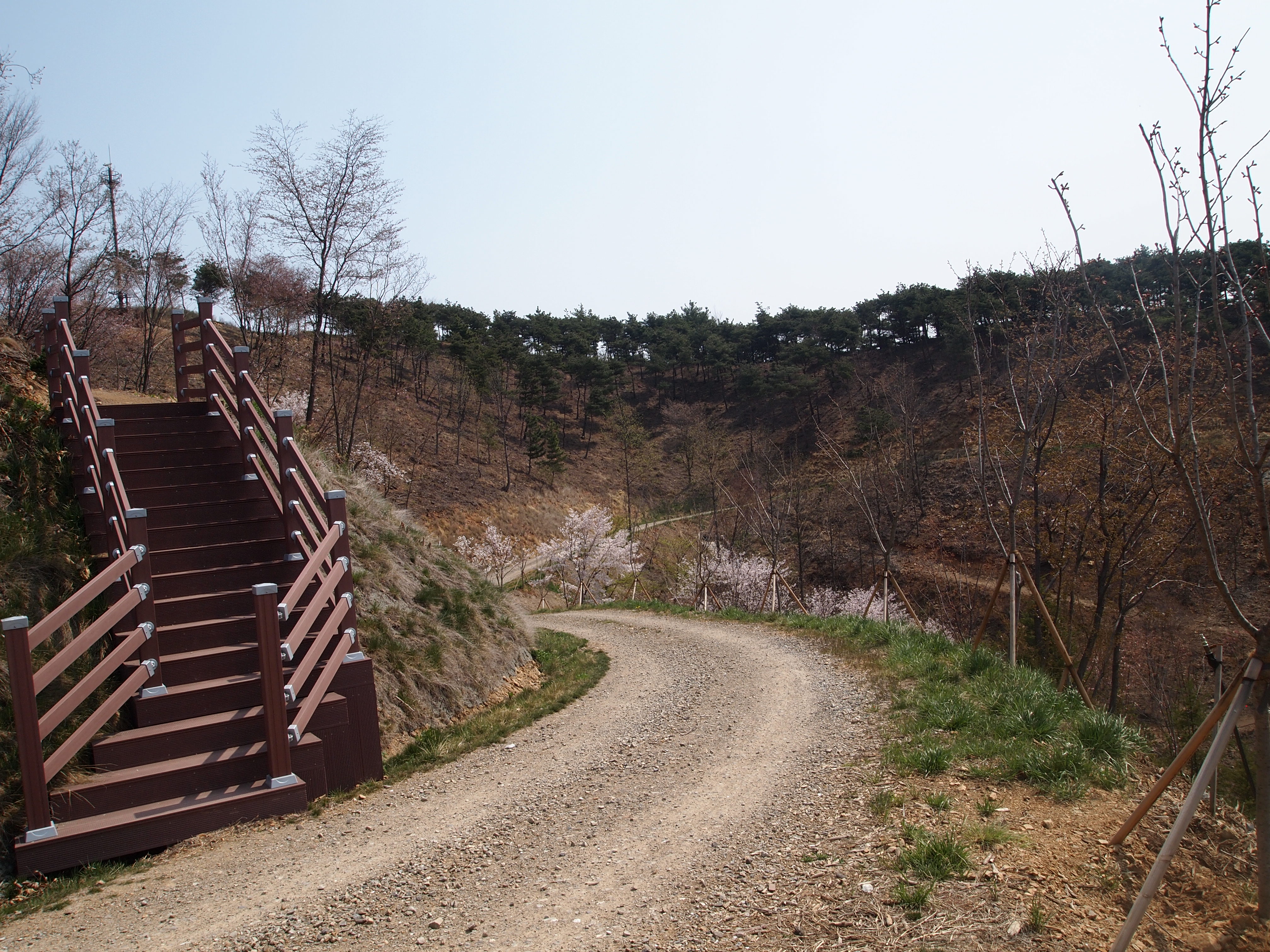 등산로