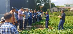 경남농민들,당진 고구마산업 선진지 견학실시