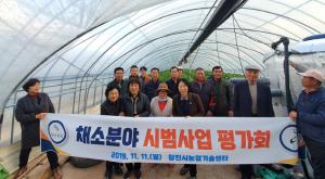 ICT 활용 양파 저장성 기술,농가 소득에 도움