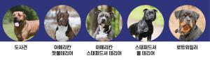 당진시 농업기술센터,맹견 책임보험 가입 홍보 적극 나서
