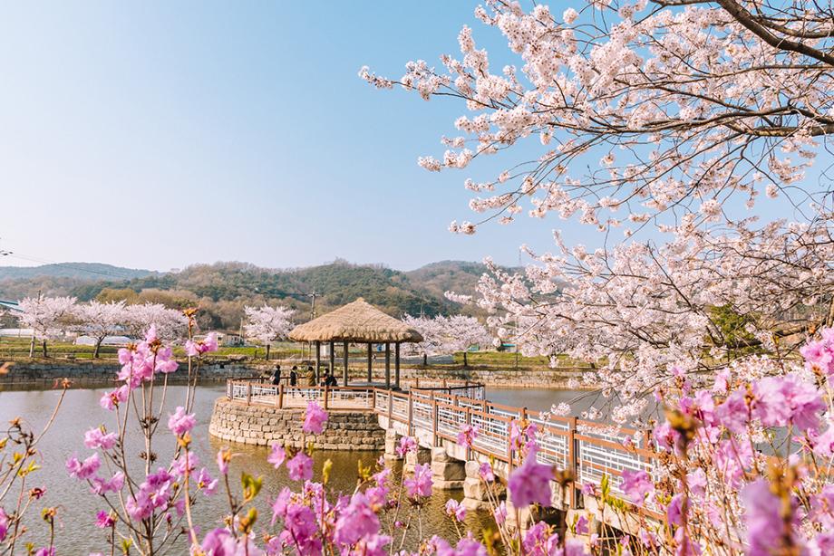 건곤일초정 봄