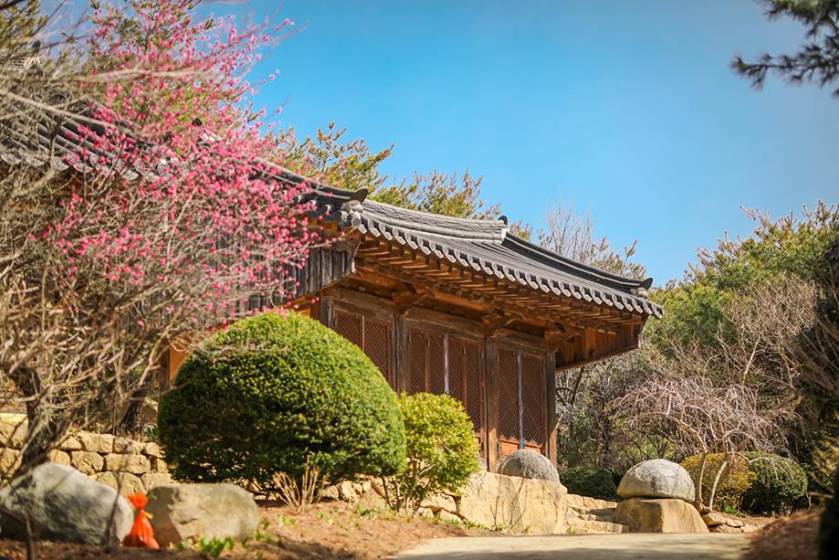 안국사지-2