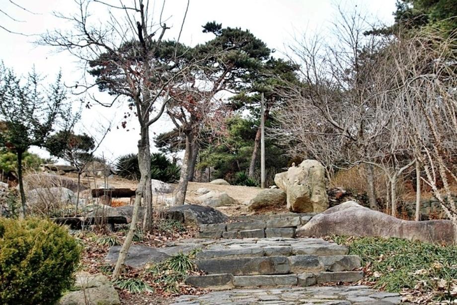 안국사지 사진
