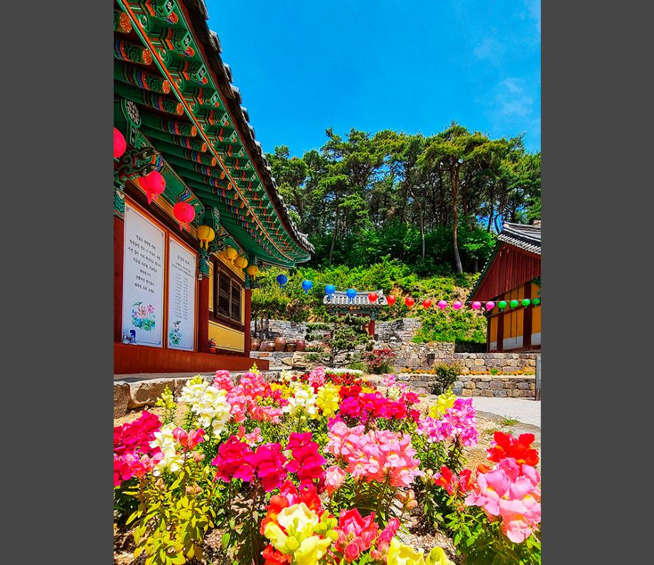 영랑사-5