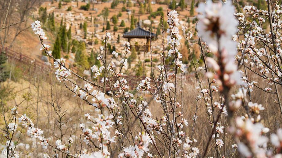 삼선산수목원6