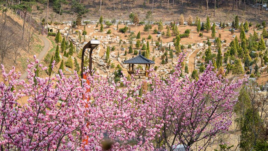 삼선산수목원7