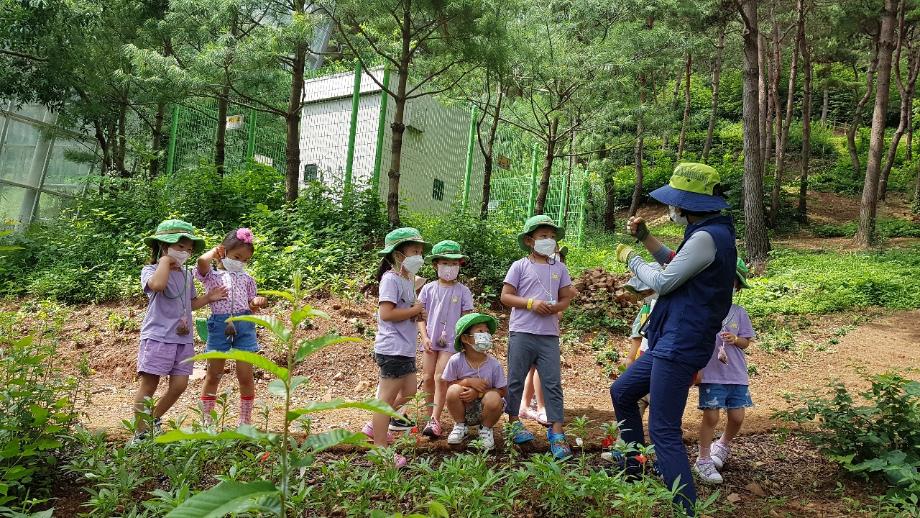 7월 산림교육(유아숲체험)프로그램
