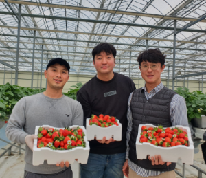 당진 청년창업농 임대형 스마트팜 '순항'