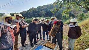 당진시,양봉산업 지속성장 위한 전문 인력 교육생 모집