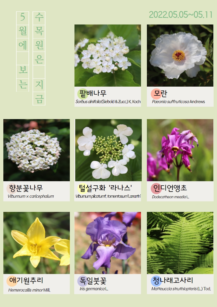 5월의 식물(2022.05.05.~05.11.)