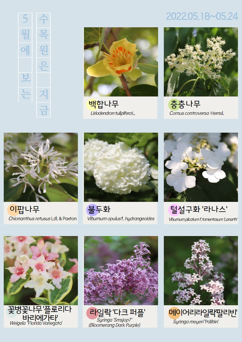 5월의 식물(2022.05.18.~05.24.)