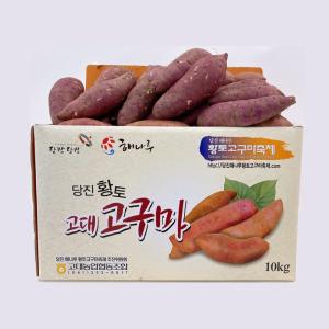 당진 해나루 황토 고구마 판촉 행사