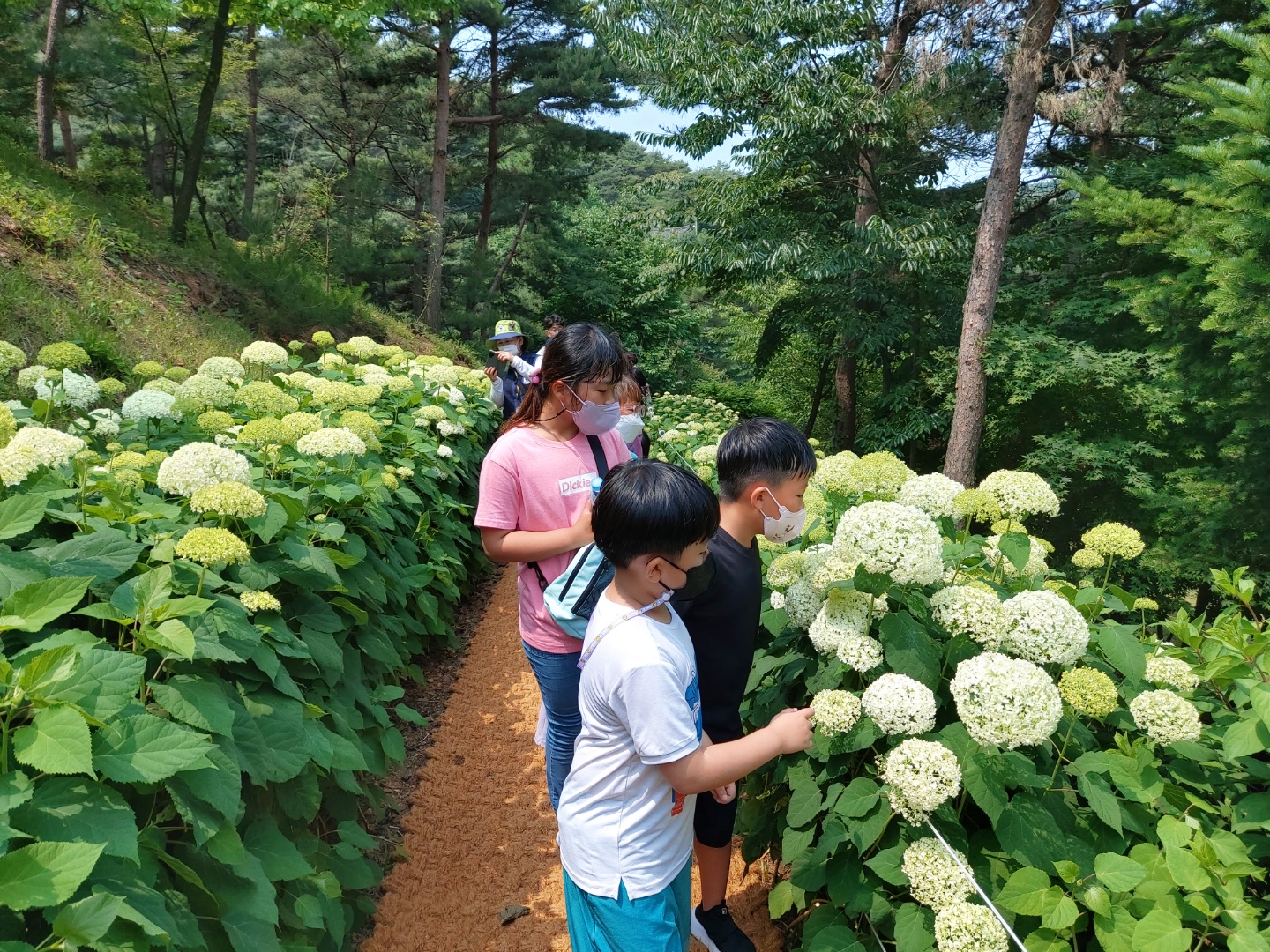 2022.06.22. 숲생물학교 프로그램