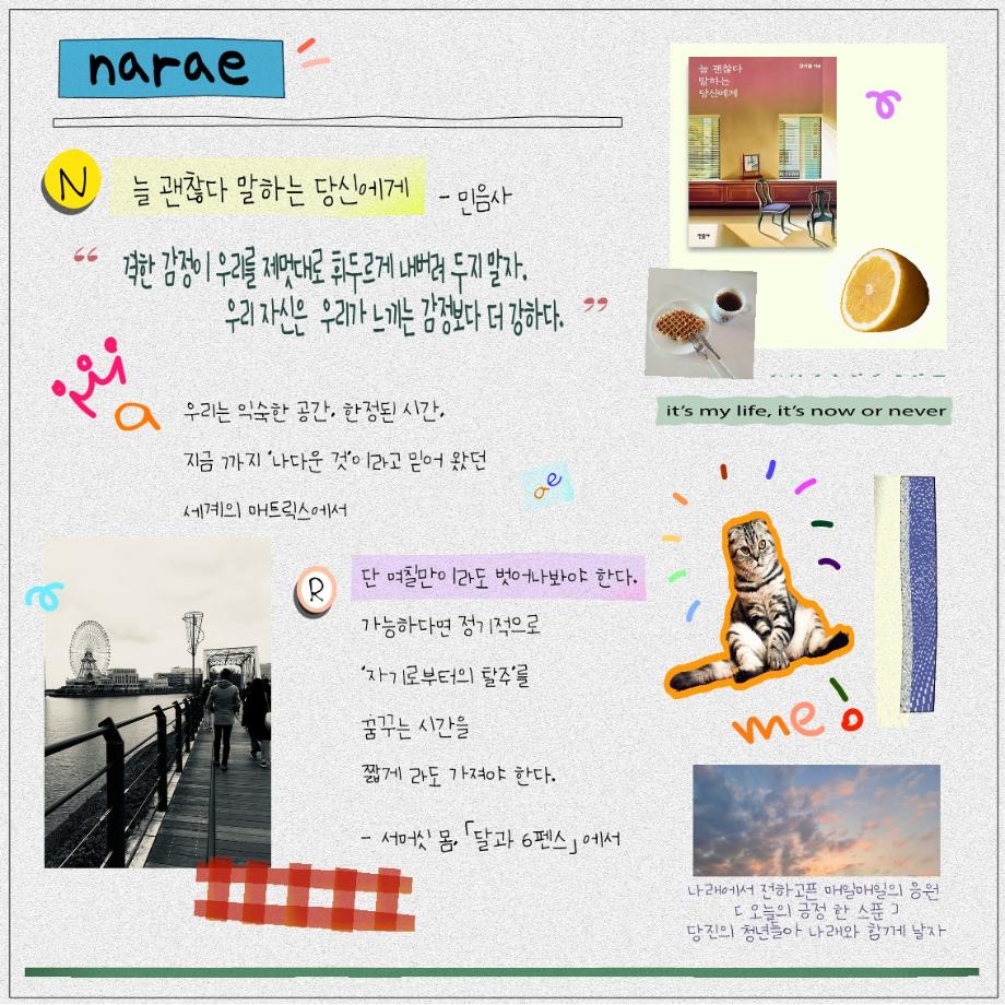 청년인턴 추천도서 [오늘의 긍정 한 스푼] 이미지