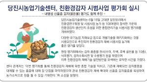 당진시농업기술센터,친환경감자 시범사업 평가회 실시