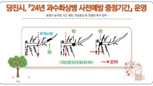 당진시, 『24년 과수화상병 사전예방 중점기간』 운영