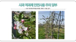 사과 적과제 안전사용 주의 당부