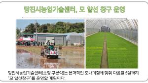 당진시농업기술센터, 모 알선 창구 운영