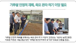 가루쌀 안정적 재배, 육묘 관리·적기 이앙 필요