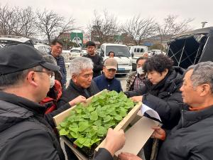 당진시, 모두가 반한 호박고구마 '당진호풍' 조직배양묘 공급 시작