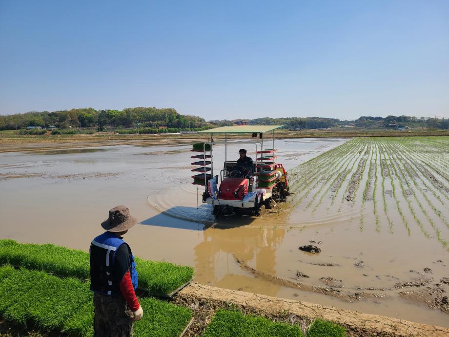 당진시농업기술센터, 고품질 벼 재배를 위한 ‘적기 모내기’ 중점 지도 이미지