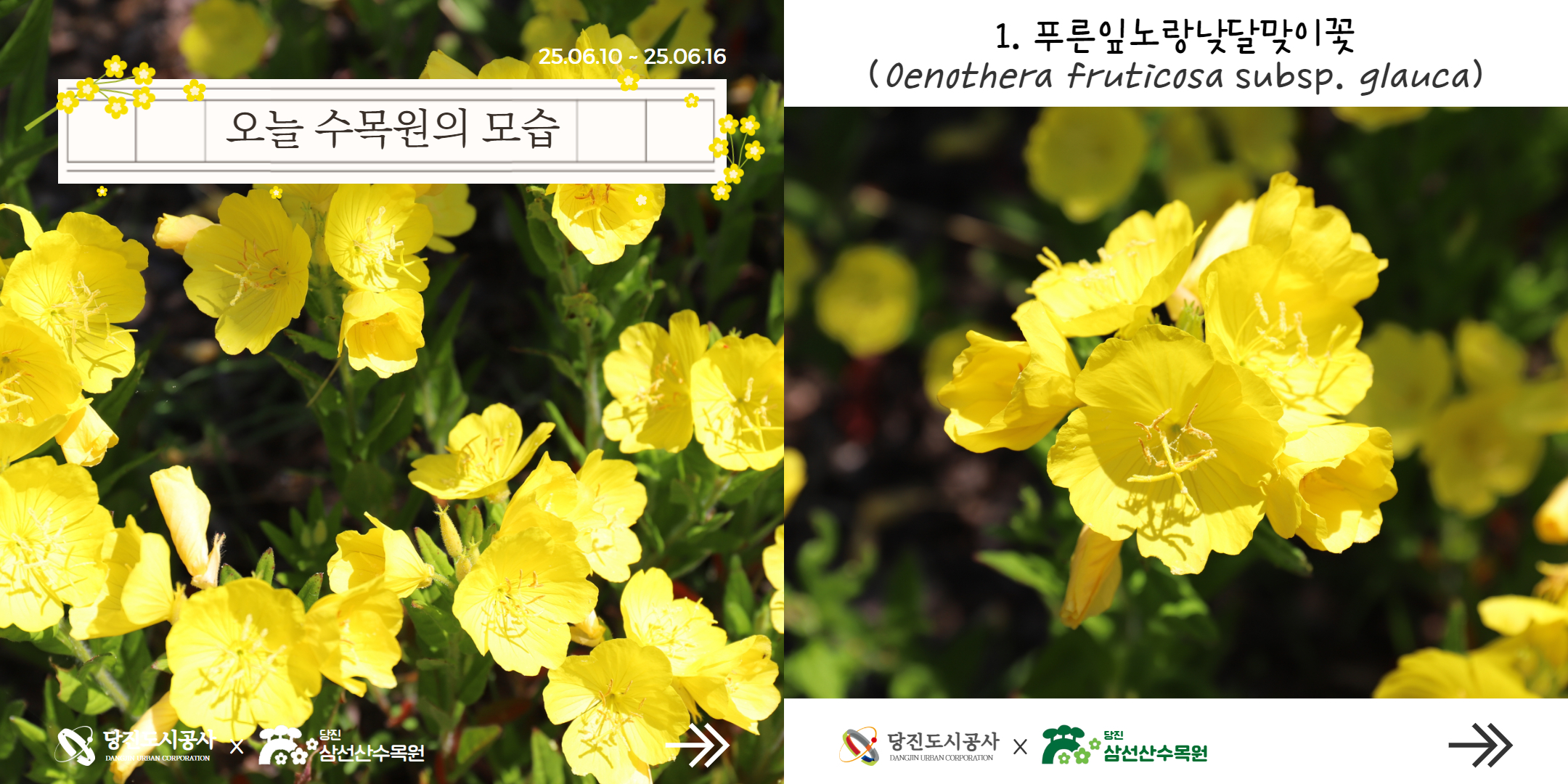 식물여행(6월2주)