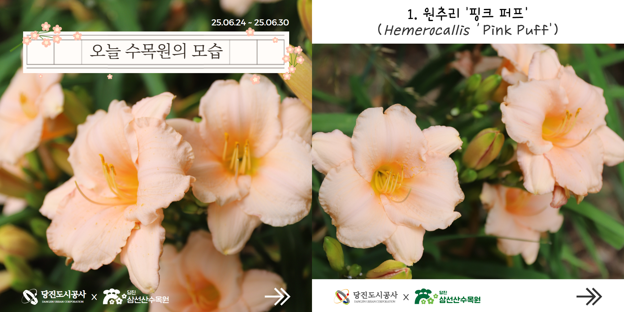 식물여행(6월4주)