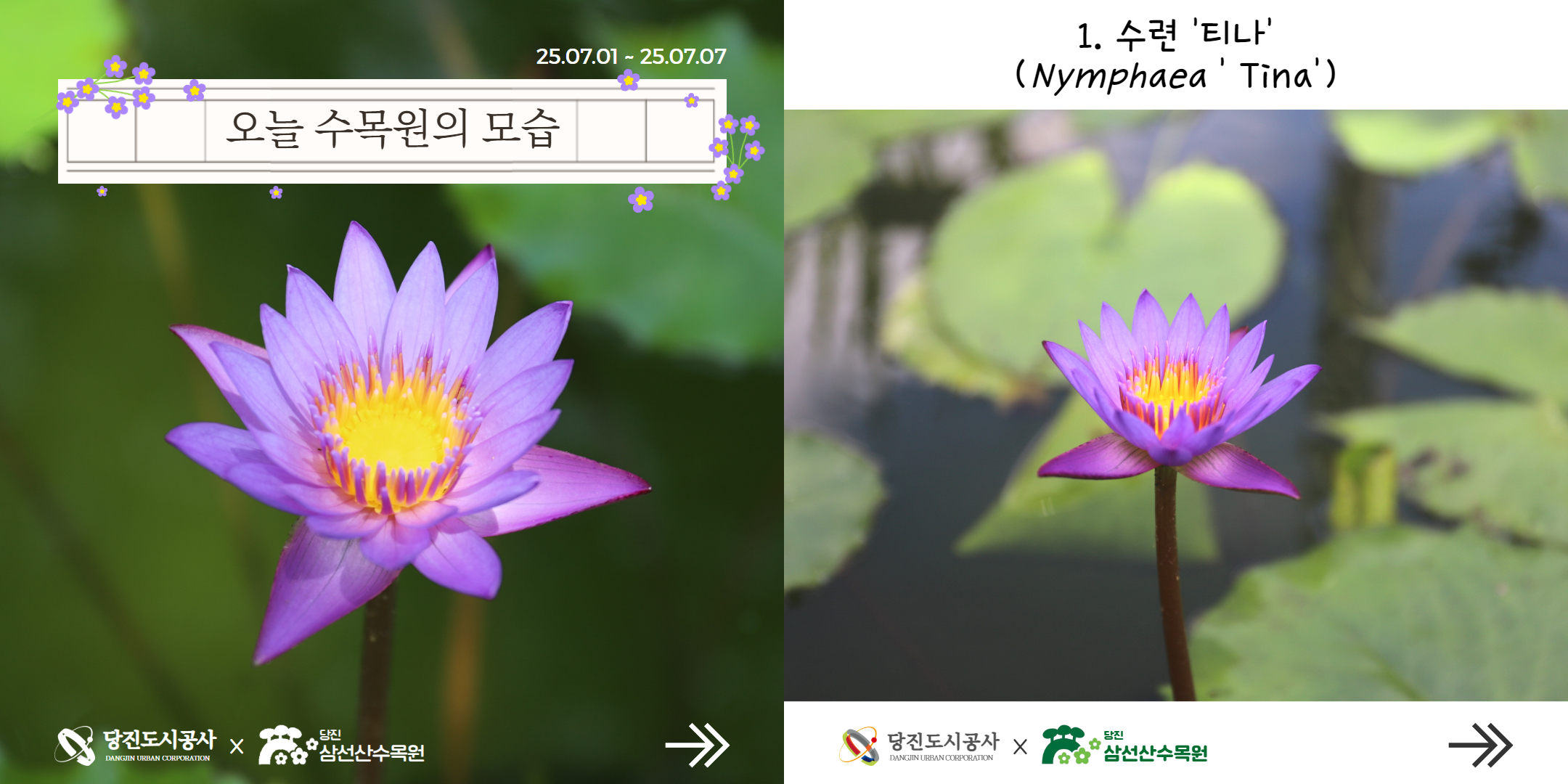 식물여행(7월1주)