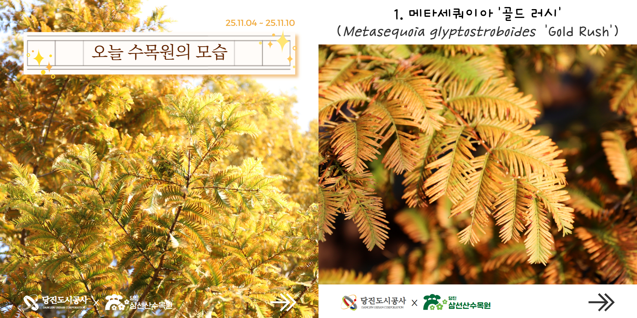 식물여행(11월1주)