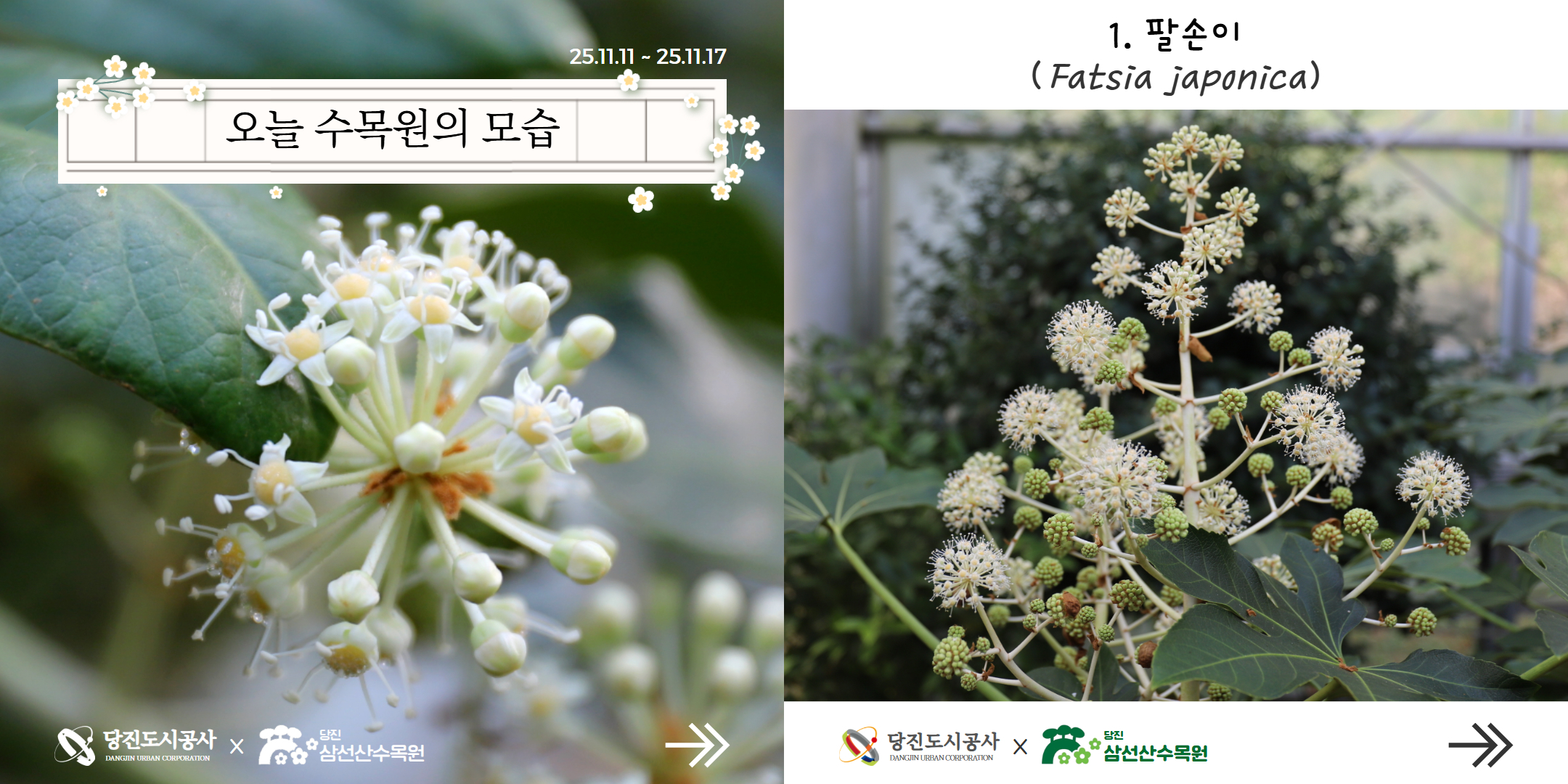 식물여행(11월2주)