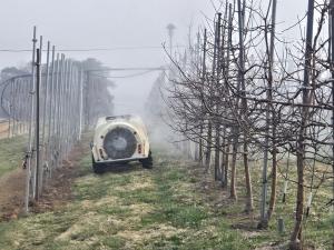 과수화상병 예방을 위해 꽃 피기 전 약제 방제 꼭 해야