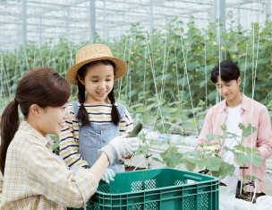 농산물유통정보 관련 사진