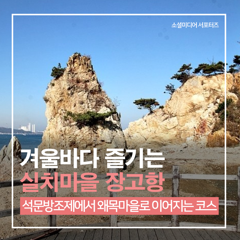 플러그인당진 겨울바다 즐기는 당진여행코스 실치마을 장고항 > 플러그인당진