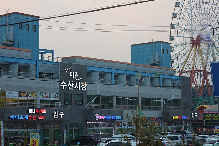 플러그인당진 밤에 즐기는 당진 삽교호 바다와 놀이동산 코스 > 플러그인당진