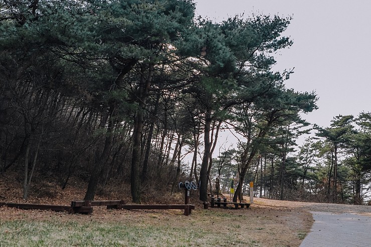 플러그인당진 진달래 피는 봉화산과 은봉산 > 플러그인당진