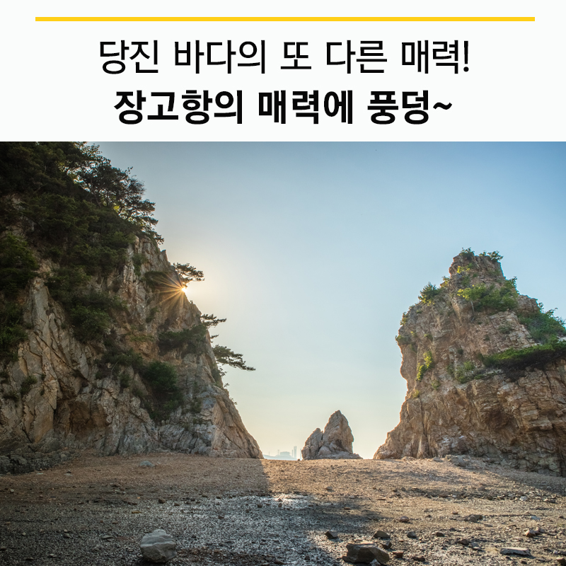 플러그인당진 당진시 바다의 매력, 장고항 여행! > 플러그인당진