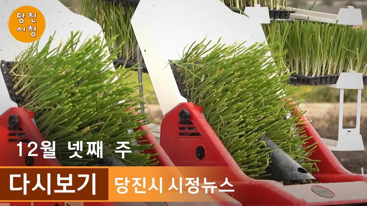 당진시정뉴스 12월 04주