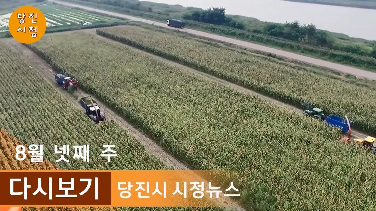 당진시정뉴스 08월 04주