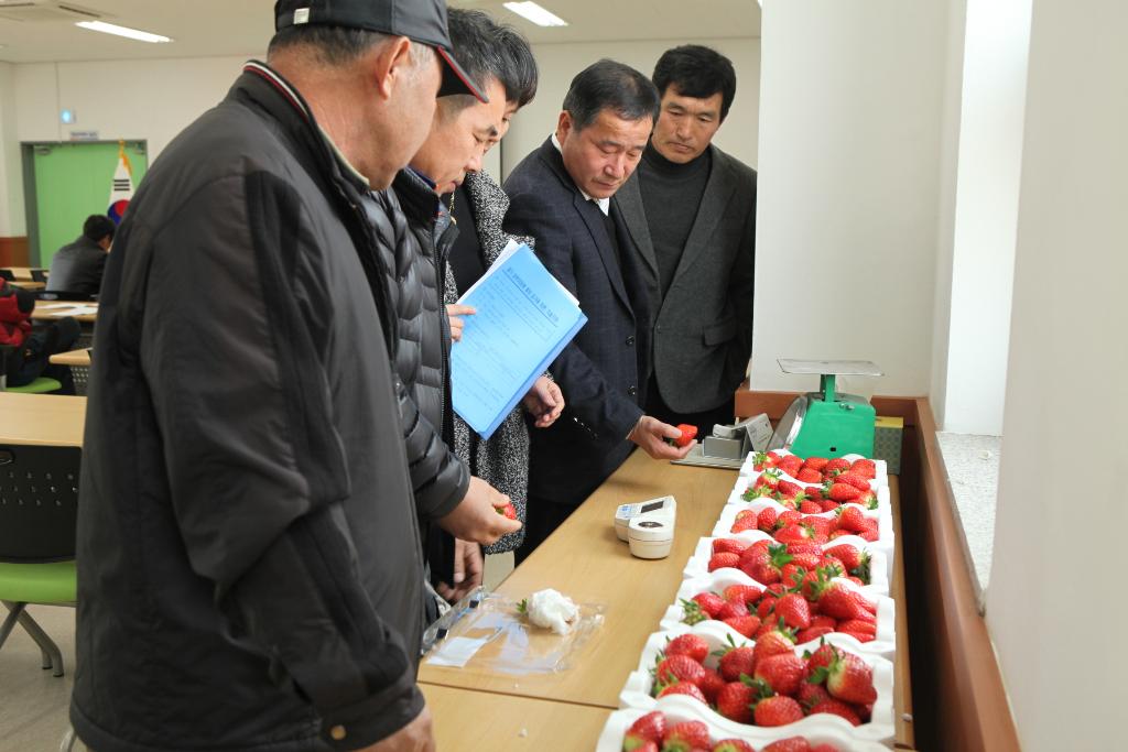 당진딸기, 농촌진흥청 탑과채 생산단지로 선정 이미지