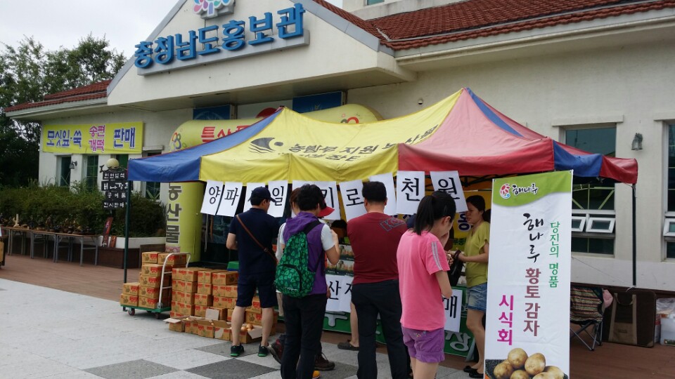 영양 만점, 맛있는 양파 사세요 이미지