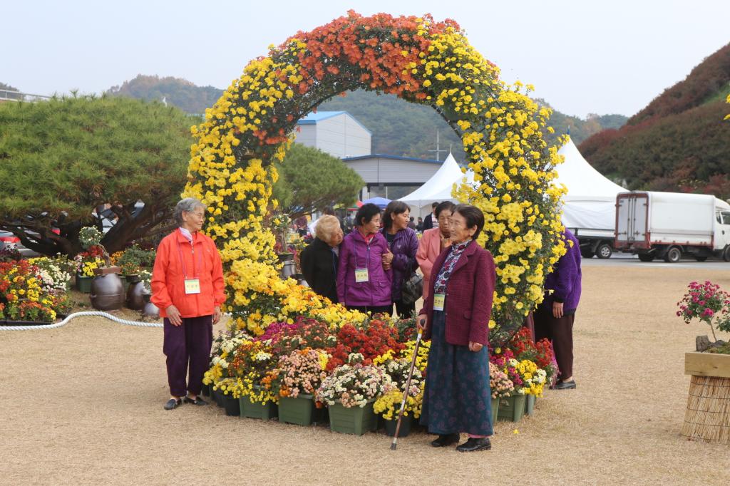 5회 당진 국화전시회 성료 이미지