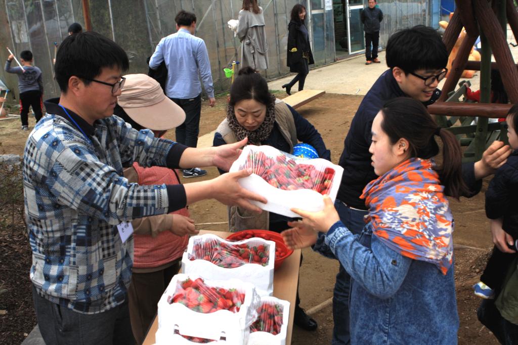 봄과 함께 찾아온 신선한 우리농산물 팔아요! 이미지