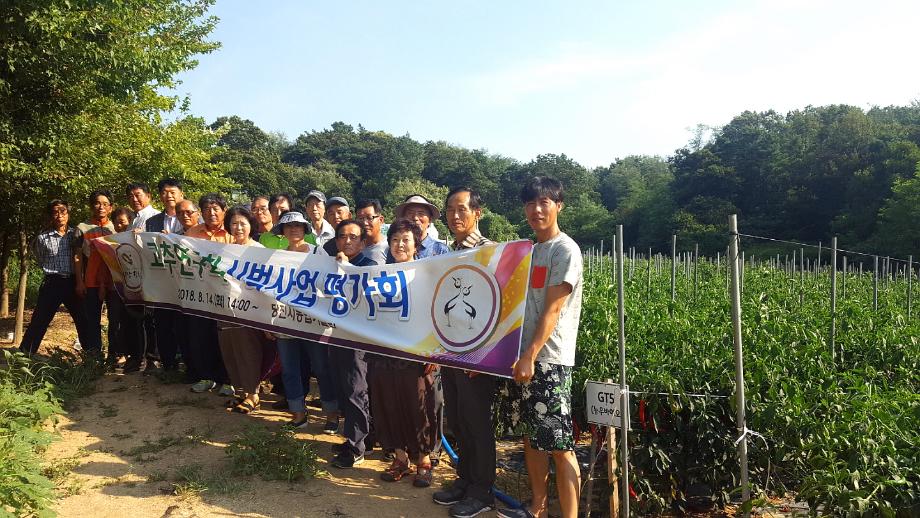당진시, 고추 시범사업 평가회 개최 이미지