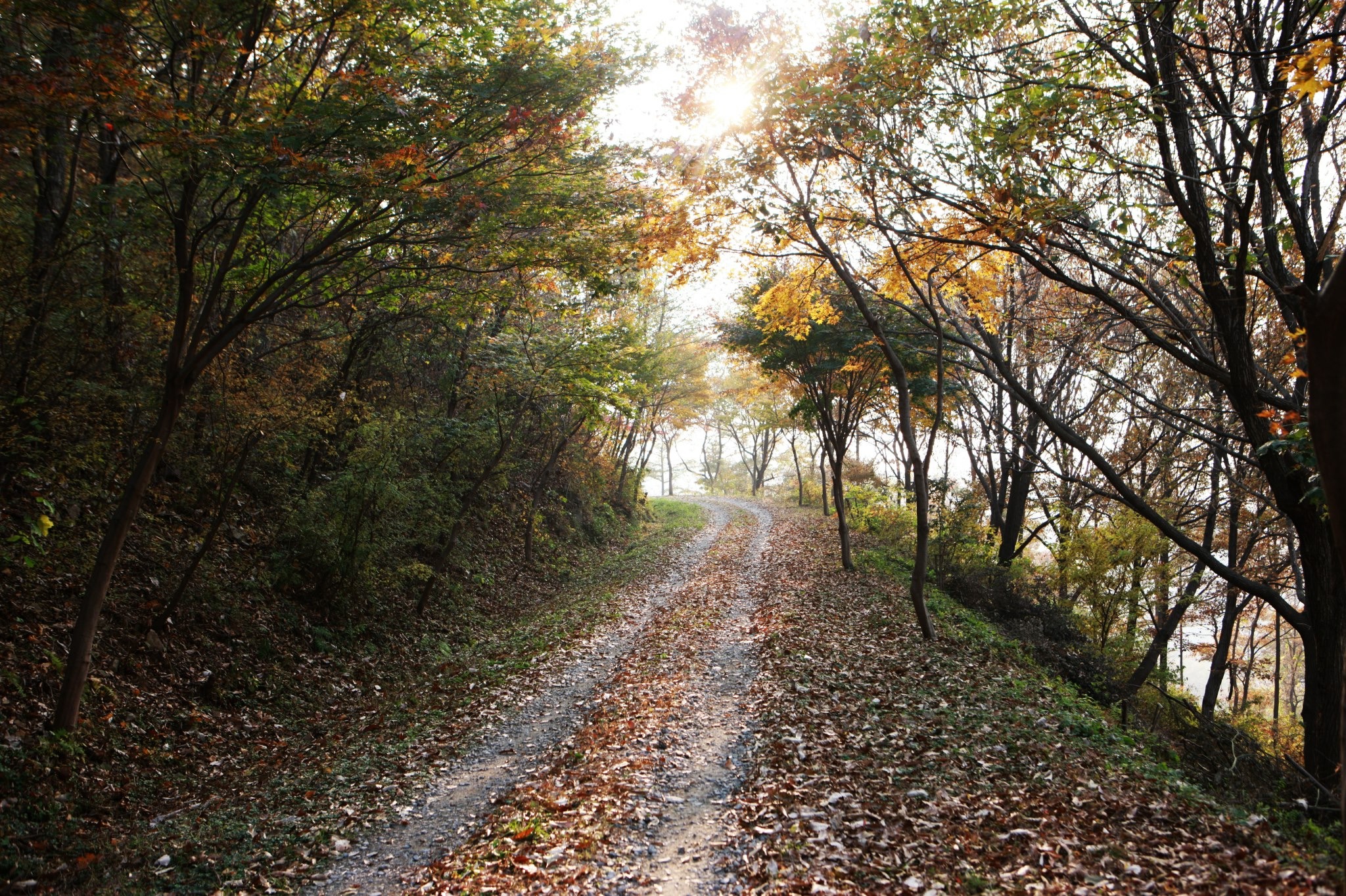 걷기 편한 당진 아미산 임도(林道), 전국 최고 이미지