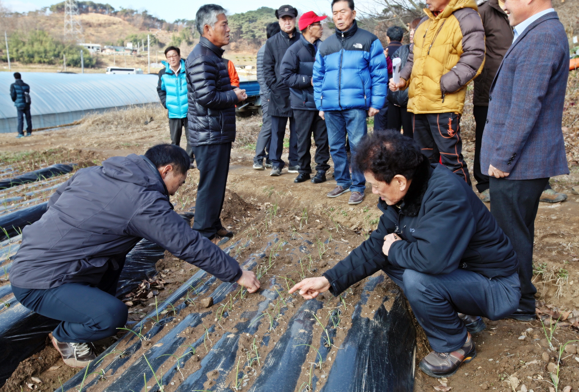 당진시, 귀농분야 시범사업 평가회 가져 이미지