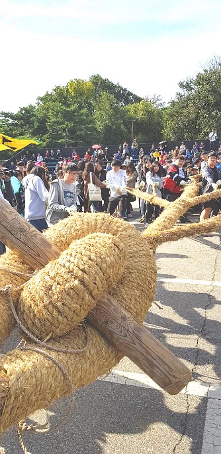 당진 기지시줄다리기, 강동선사문화축제 참가 이미지